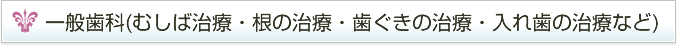 一般歯科(むしば治療・根の治療・歯ぐきの治療・入れ歯の治療など)